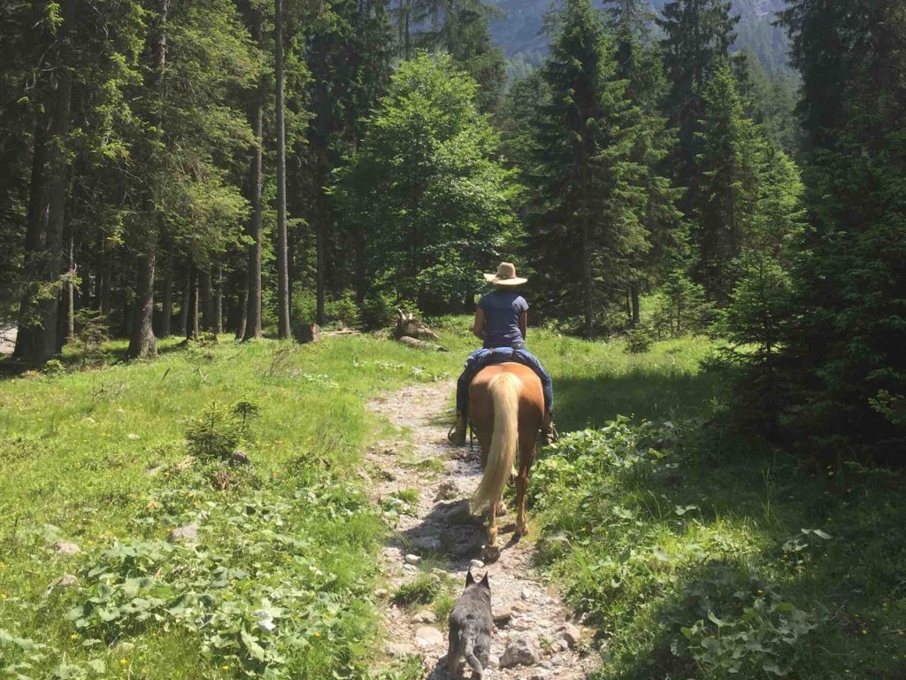 horse-trekking-Bersaglio-Peller